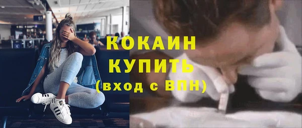 гашик Арсеньев
