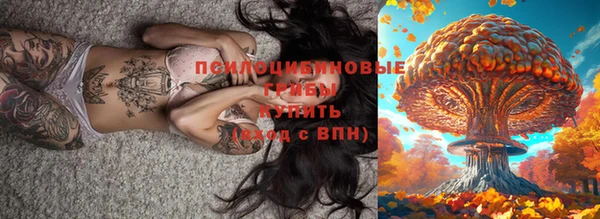 гашик Арсеньев