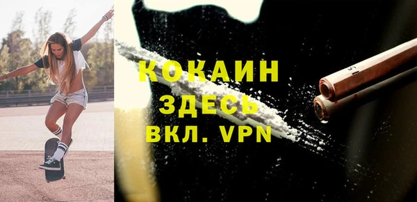 гашик Арсеньев